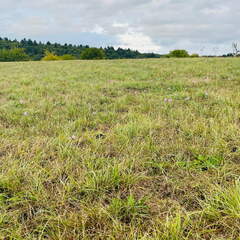 22-09-10 17-58-14 1975